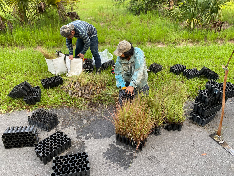 Lake County, FWF partner to create pollinator habitat