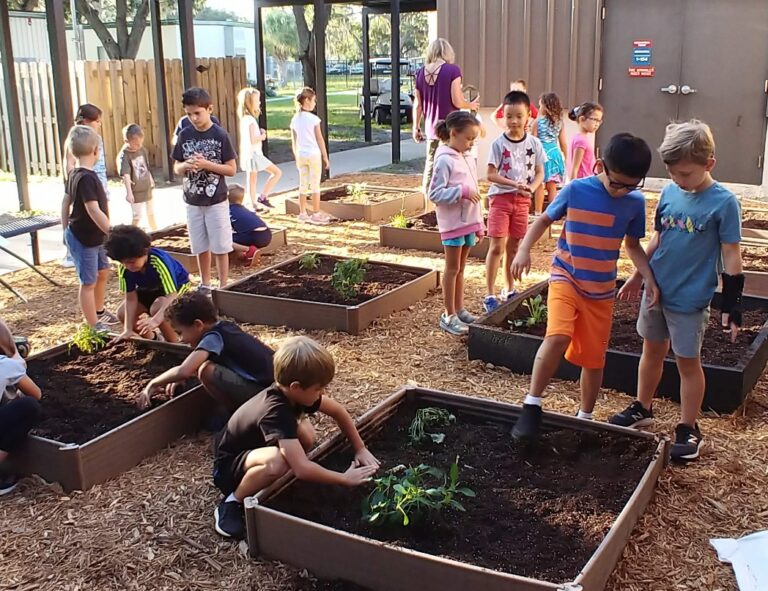 Teachers statewide receive wildflowers for campus gardens