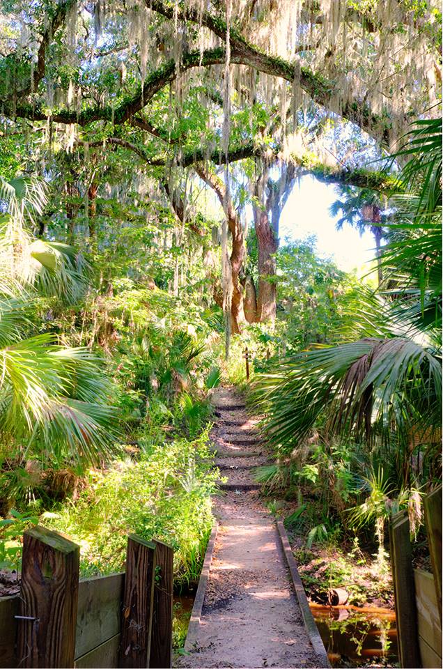 Enchanted Forest Sanctuary
