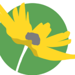 www.flawildflowers.org