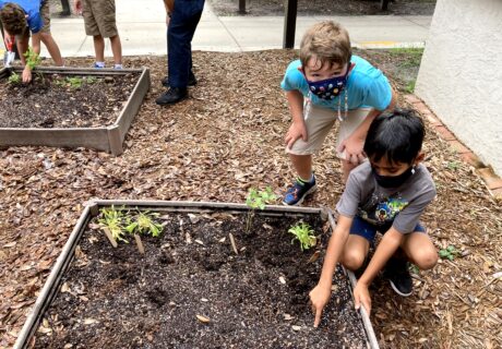 Ashton Elementary Seedlings for Schools Garden. Photo provided by Kelly Griffith.