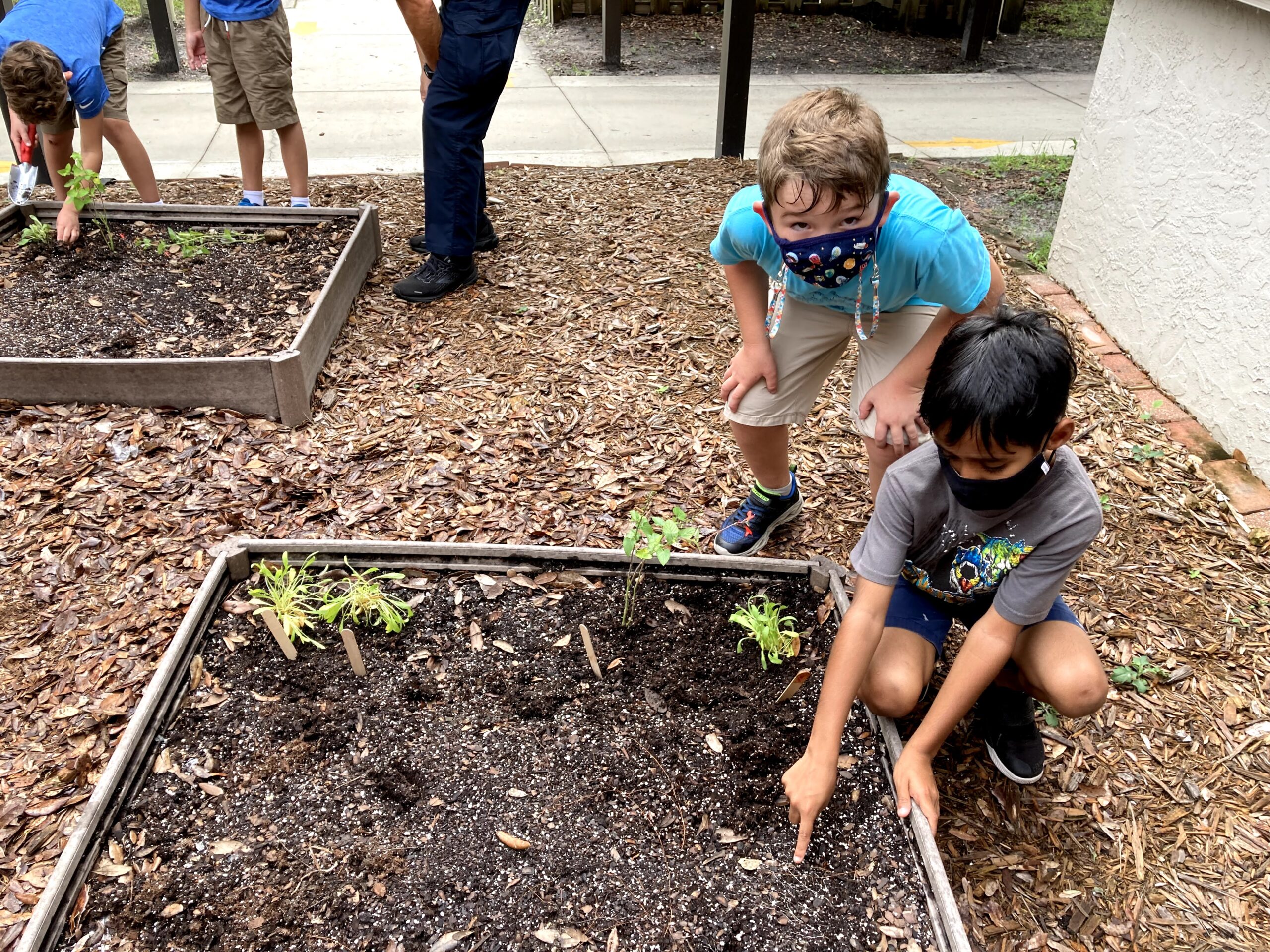 Ashton Elementary Seedlings for Schools Garden. Photo provided by Kelly Griffith.