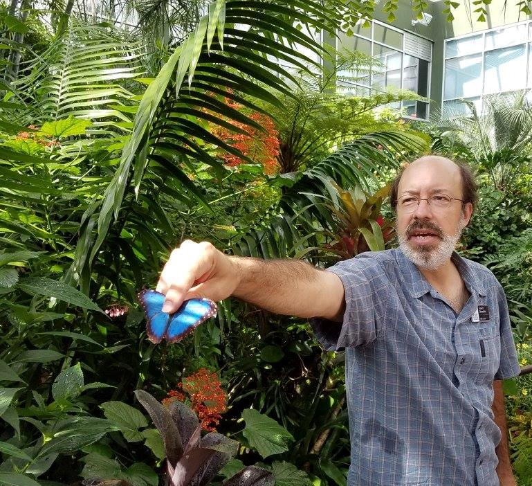 Dr. Jaret Daniels holds butterfly during Butterfly Rainforest field trip. Photo by Gail Taylor.