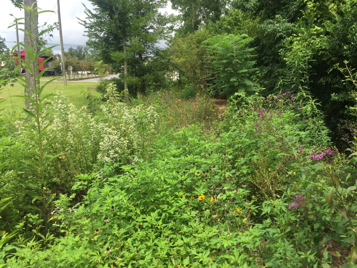 Depot Park Pollinator Garden in Blountstown. Photo by Bob Farley.