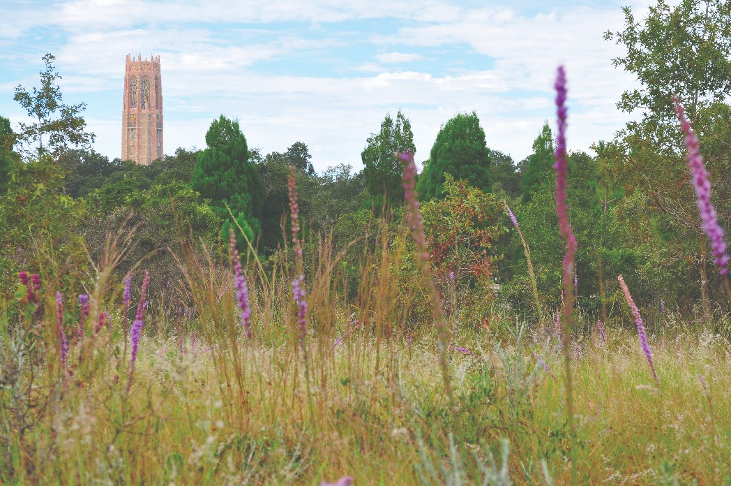 Bok Tower