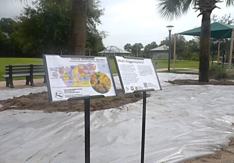 Conserve Nassau prepares their demonstration garden site with solarization