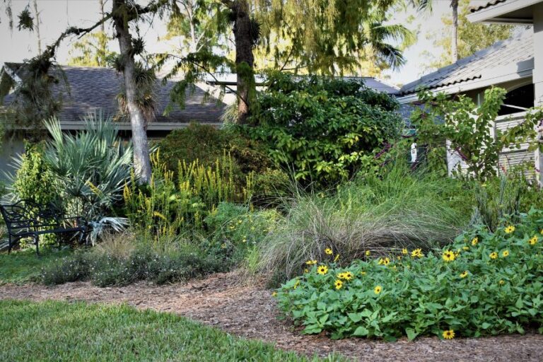 WEBINAR — How to Start a Backyard Revolution