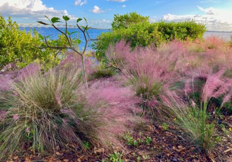 Coastal landscape. Photo by Nichole Perna