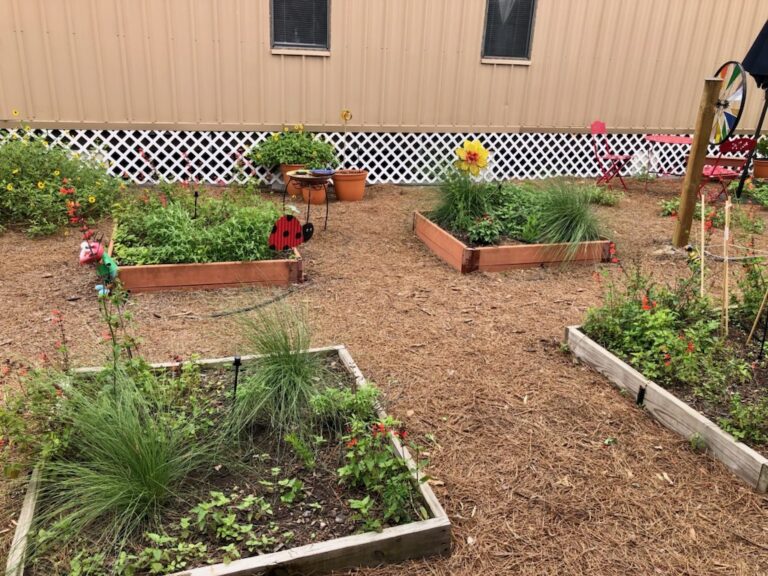 2022 Seedlings for Schools planting at Round Lake Charter School