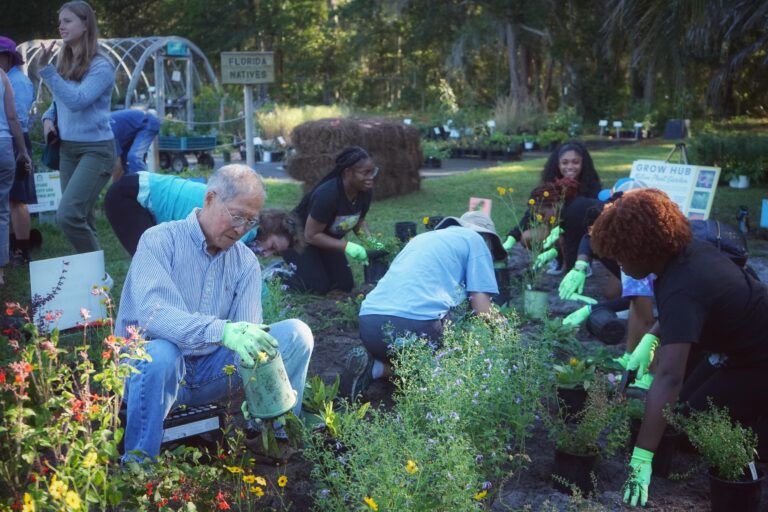 Volunteer Bee City garden planting at Grow Hub.