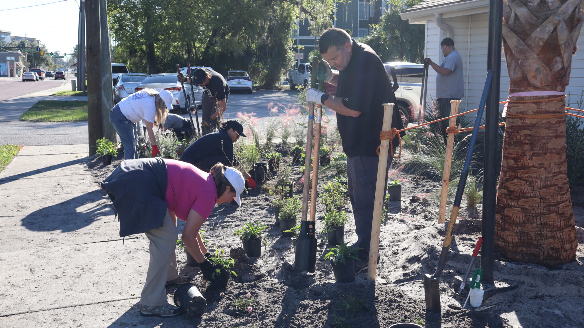 Together, we can plant a better future Florida Wildflower Foundation