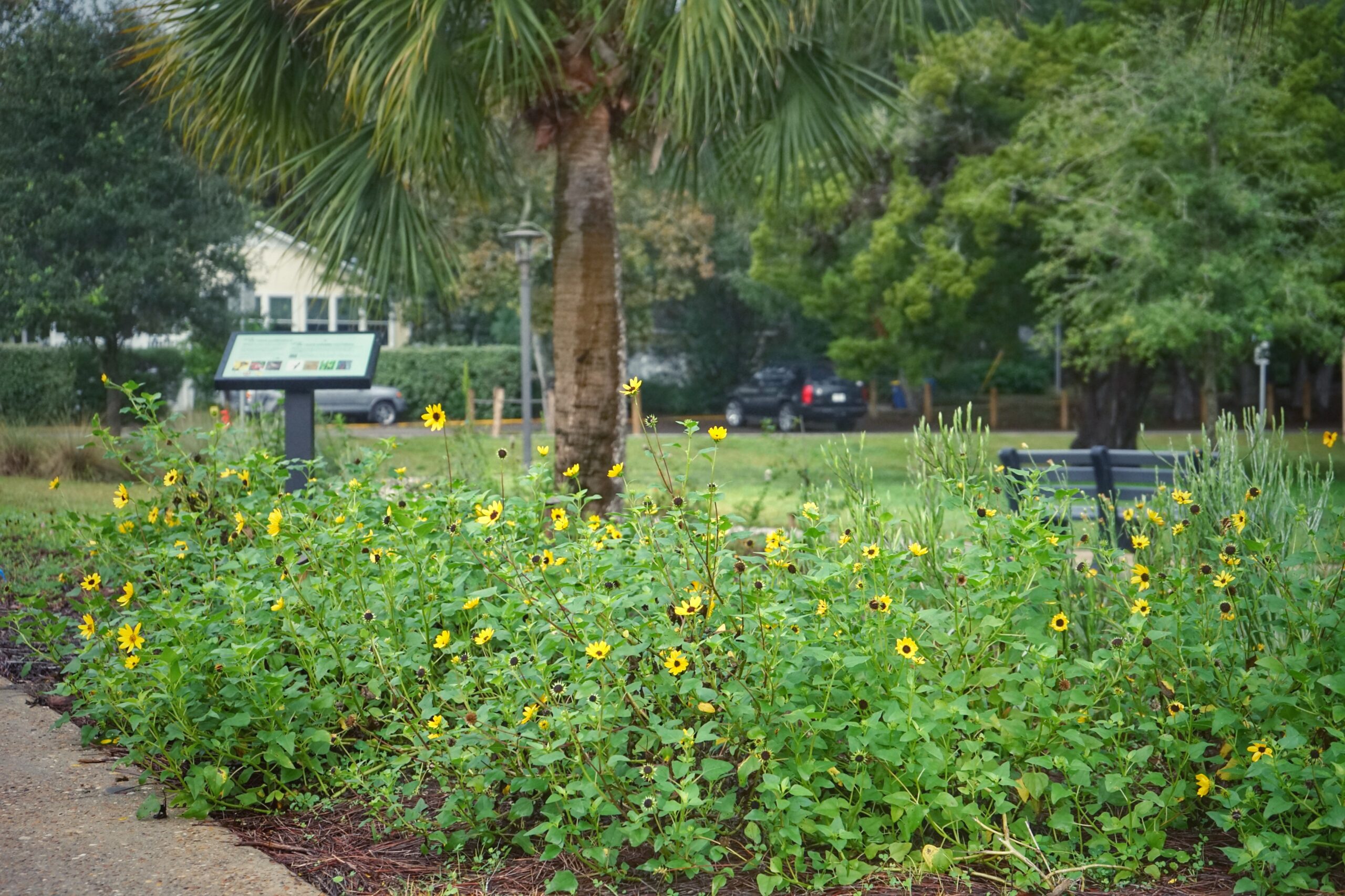 Suggestions for applicants Florida Wildflower Foundation