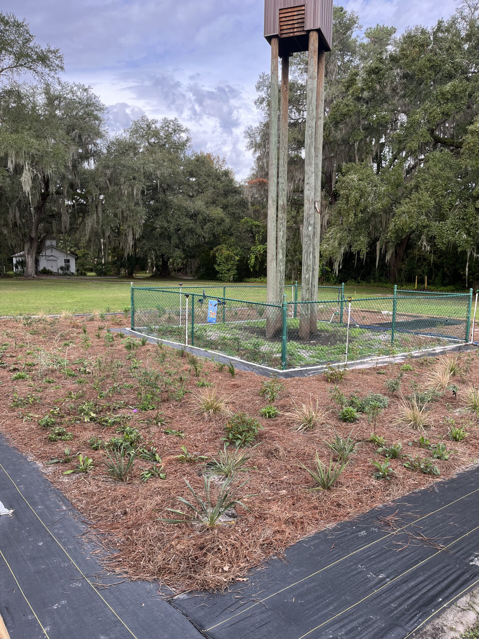 The Native story Is the American story | COMMENTARY | Opinion, image size:1920x2560