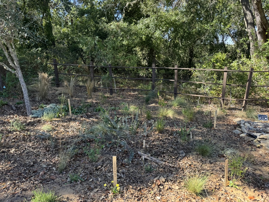 A mulched garden bed with small plants and wooden markers, bordered by a metal fence and surrounded by trees and dense greenery.