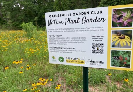 A sign at the Gainesville Garden Clubs Native Plant Garden explains the purpose of planting native Florida wildflowers and highlights the importance of pollinators. Yellow flowers bloom in the background.