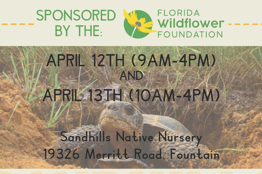 Announcement for an event on April 12th and 13th at Sandhills Native Nursery, sponsored by Florida Wildflower Foundation, featuring an alligator image.