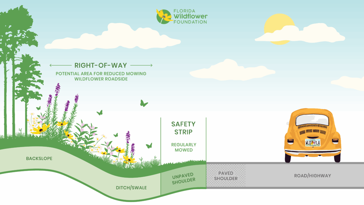 Diagram showing a roadside cross-section with labeled areas: backslope, ditch/swale, unpaved shoulder, paved shoulder, and road, plus flowers and a yellow car.