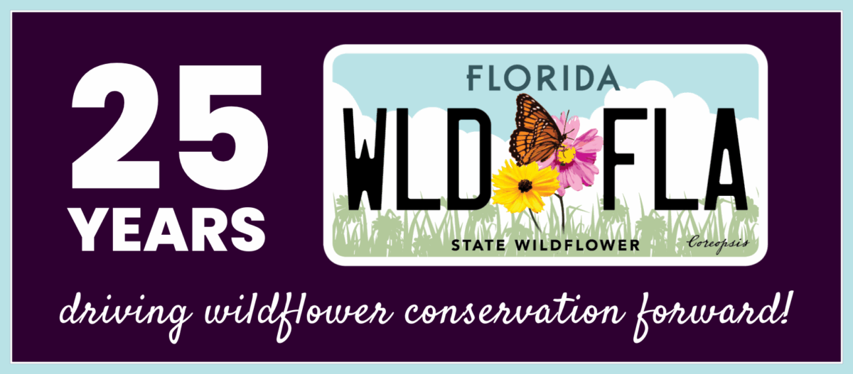 A Florida wildflower license plate with flowers and a butterfly, marking 25 years of wildflower conservation with the text driving wildflower conservation forward!.