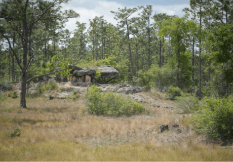A large flat rock rests on a small rise surrounded by pine trees and grassy vegetation under a partly cloudy sky.