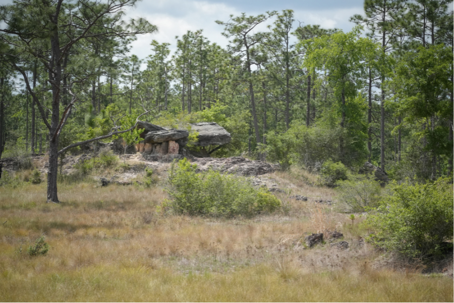 A large flat rock rests on a small rise surrounded by pine trees and grassy vegetation under a partly cloudy sky.