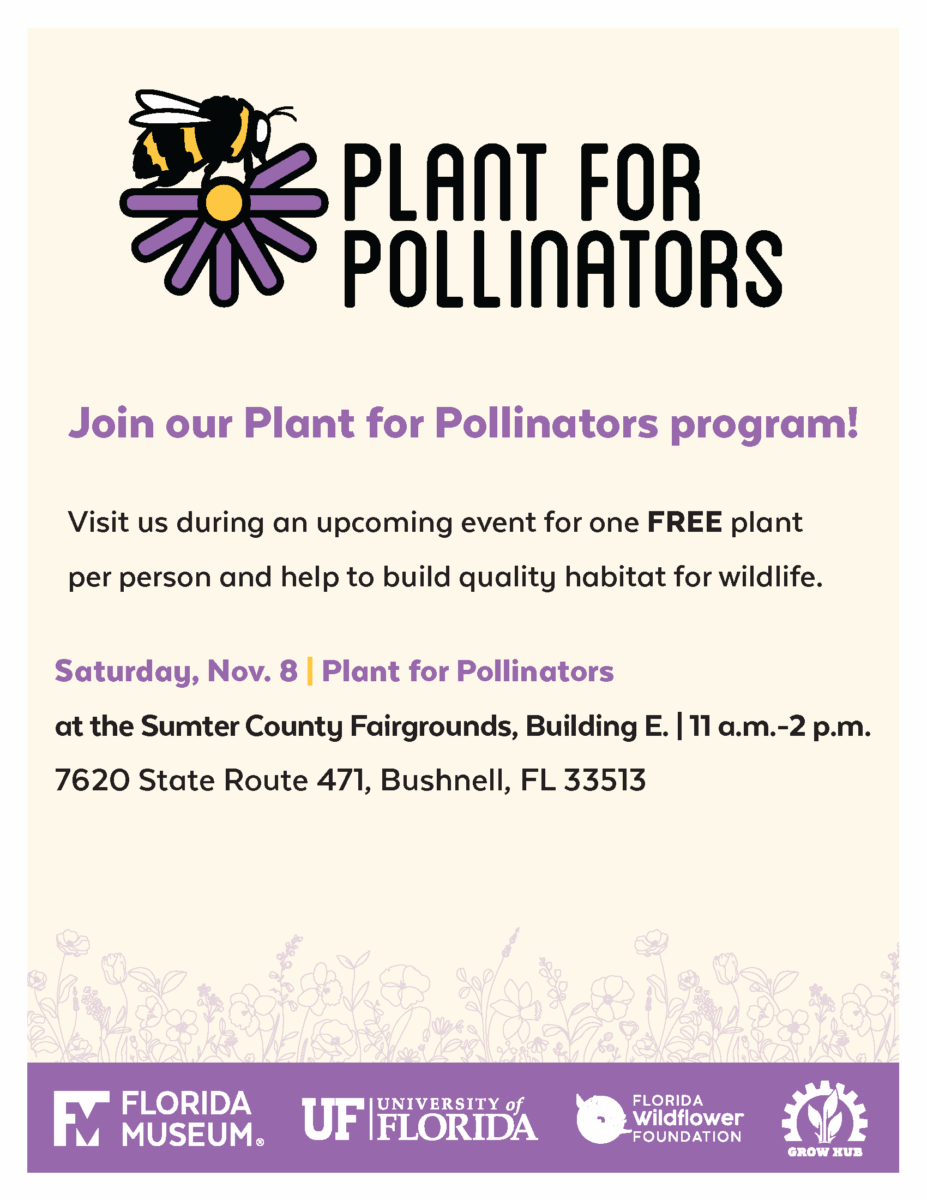 Flyer for the Plant for Pollinators event on Nov. 8, 11 a.m.–2 p.m., at Sumter County Fairgrounds in Bushnell, FL; free plant per person offered.