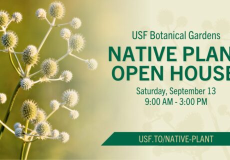 Promotional flyer for USF Botanical Gardens Native Plant Open House, scheduled for Saturday, September 13, from 9 AM to 3 PM, with a background of native plant flowers.