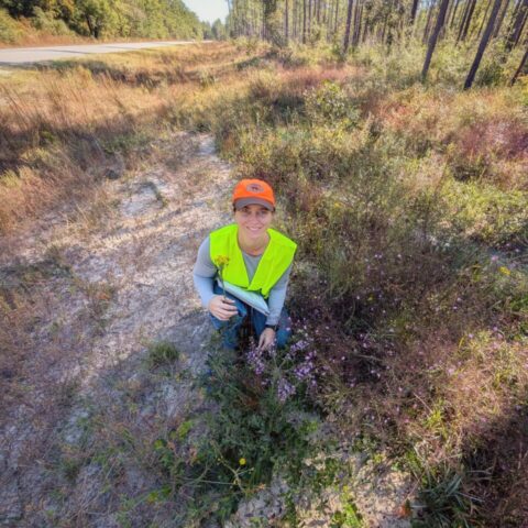 Person in a neon yellow vest and orange cap kneels in a field with wildflowers, holding a notebook. Trees and a road are in the background.