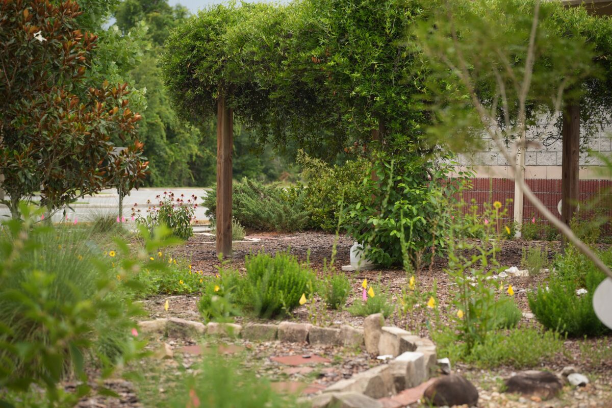 A garden with various green plants, a stone-bordered path, a wooden pergola covered in vines, and a white plastic bag on the ground.