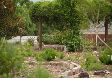 A garden with various green plants, a stone-bordered path, a wooden pergola covered in vines, and a white plastic bag on the ground.