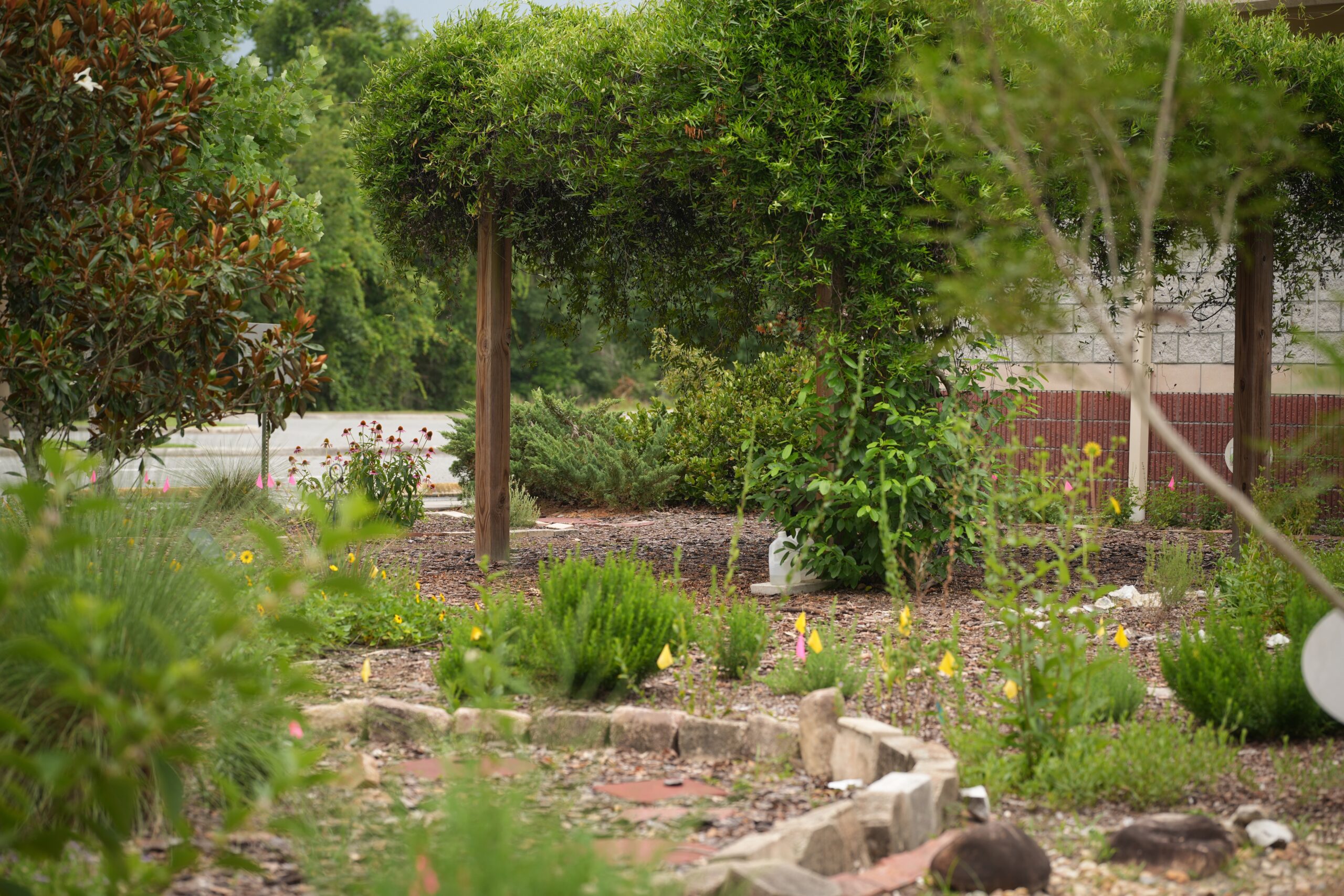 A garden with various green plants, a stone-bordered path, a wooden pergola covered in vines, and a white plastic bag on the ground.