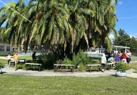 Several children and adults are gathered around benches under a large palm tree in a grassy outdoor area on a sunny day.