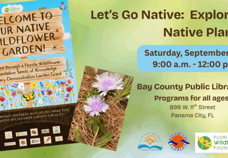 Flyer for a native wildflower garden event at Bay County Public Library on September 27, 9 a.m.–12 p.m., featuring native plant programs for all ages, with sponsor logos.