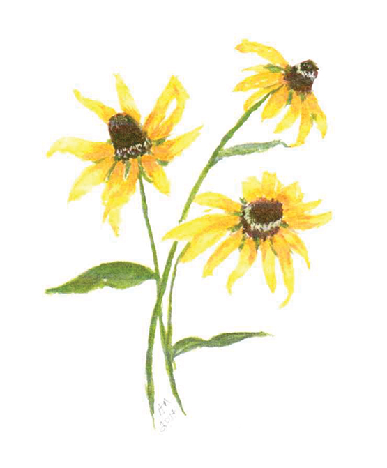 A watercolor painting of three yellow flowers with green stems and leaves on a white background.