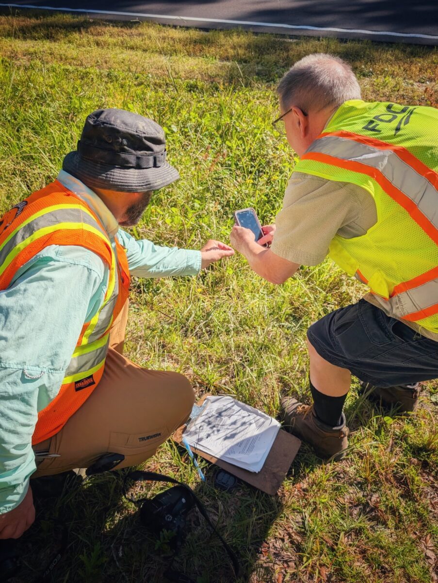 Volunteers surveying an Alachua County roadside.