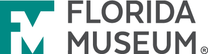 Logo for the Florida Museum, featuring a stylized teal and white FM to the left of the words FLORIDA MUSEUM in gray capital letters.