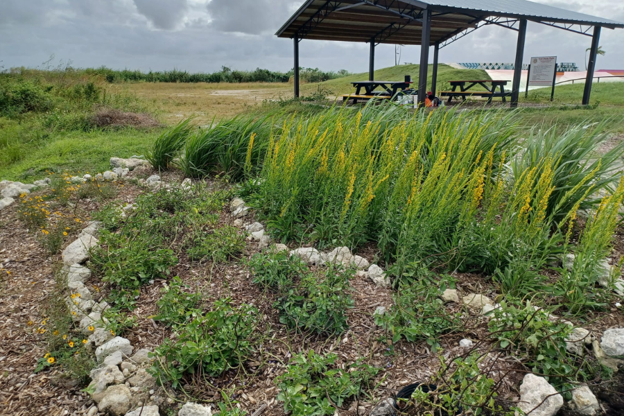 A garden bed with yellow flowers and green plants bordered by rocks, beside a covered picnic area with tables under a cloudy sky.