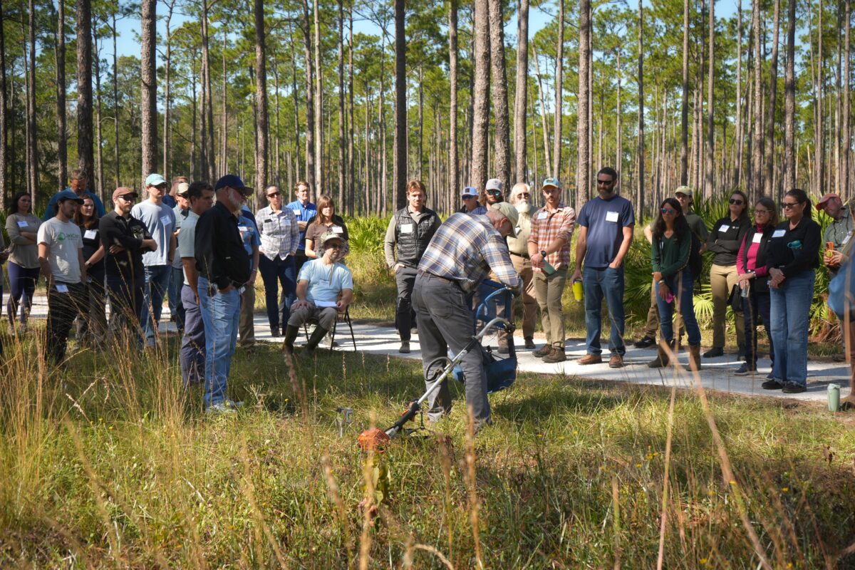 Seed collection demonstration in the forest.