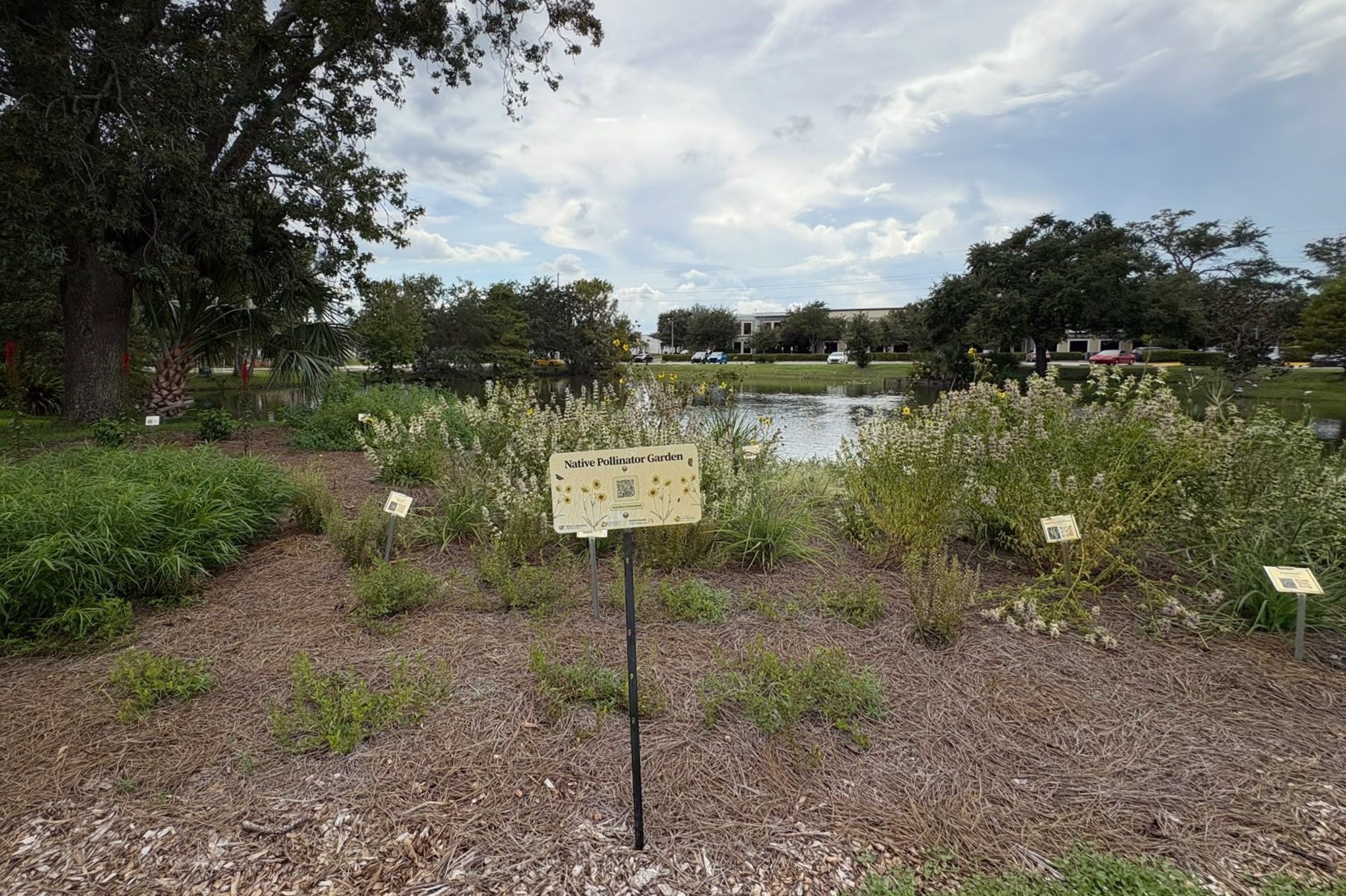 A native pollinator garden with informational signs, mulched paths, and various plants.