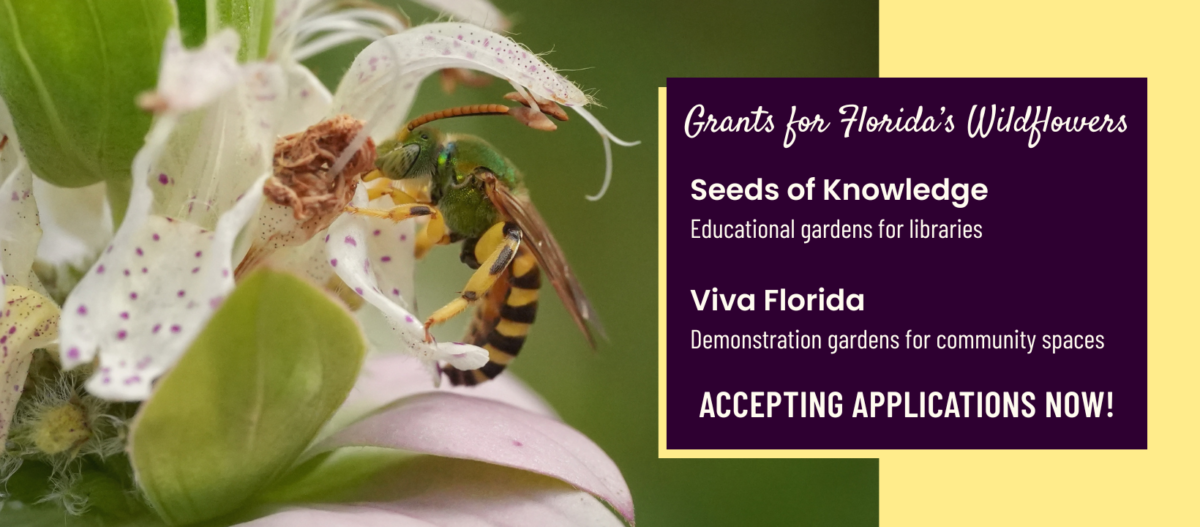 Viva Florida Landscape Demonstration Garden and Seeds of Knowledge Library Demonstration Garden grants are now open! Apply today to bring the beauty of native plants to your community.