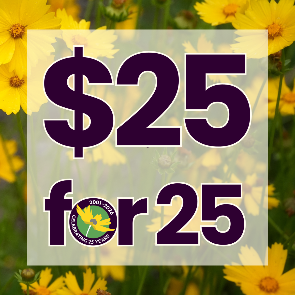 Text reads “$25 for 25” over a background of yellow flowers. Includes a circular logo with “Celebrating 25 Years 2001-2026” and a yellow flower.