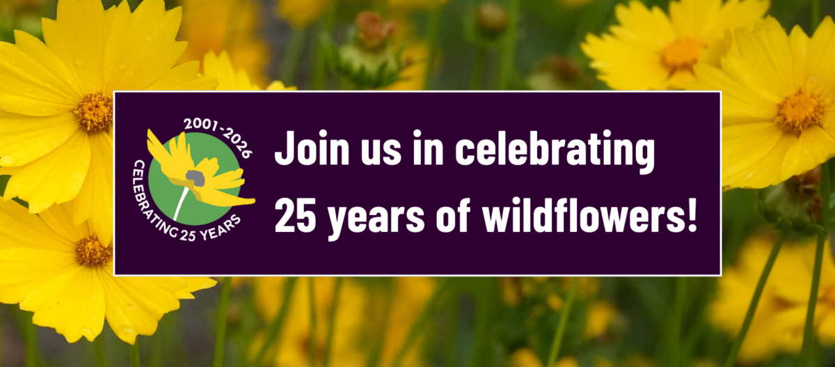 Banner over yellow wildflowers reads: Join us in celebrating 25 years of wildflowers! with a logo stating Celebrating 25 years, 2001-2026.