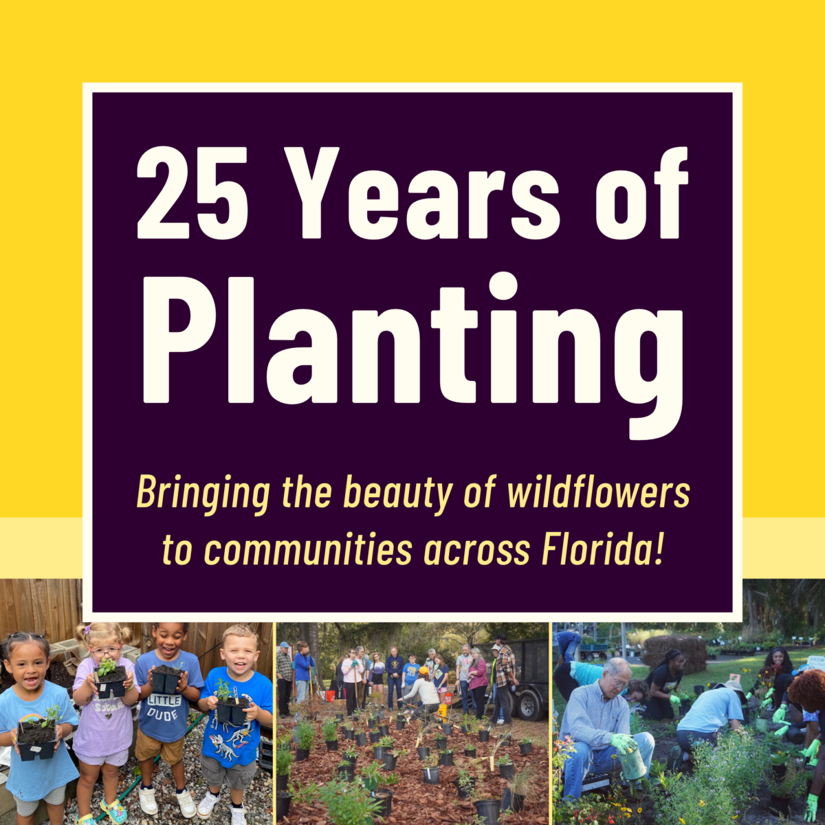 Graphic reads 25 Years of Planting. Bringing the beauty of wildflowers to communities across Florida! with photos of people planting and holding plants.