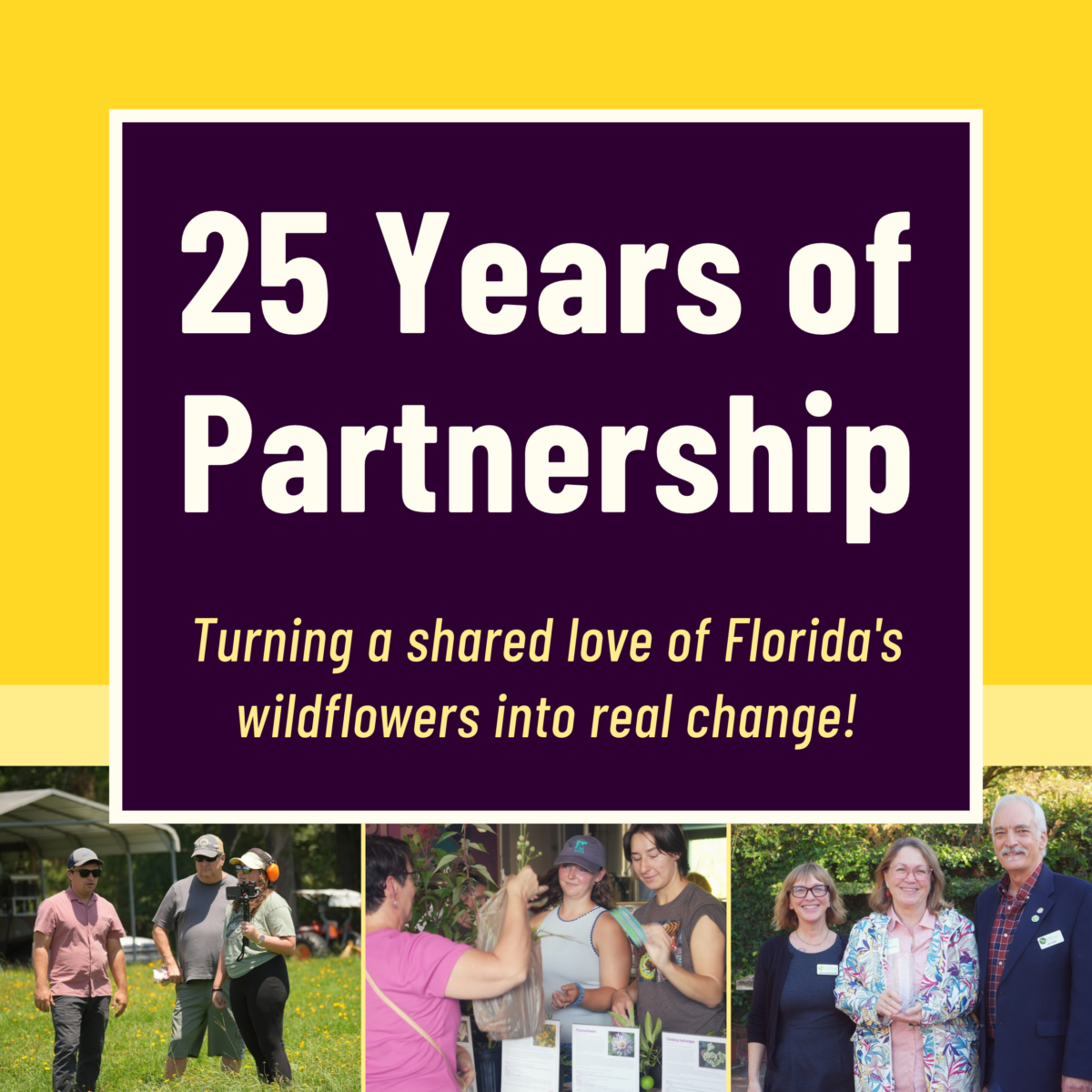 Graphic celebrating 25 years of partnership for Florida wildflowers, with three photos of people interacting at outdoor and indoor events.