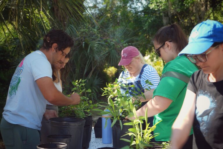 Four people work together at an outdoor table, handling potted green plants surrounded by trees and palm foliage.