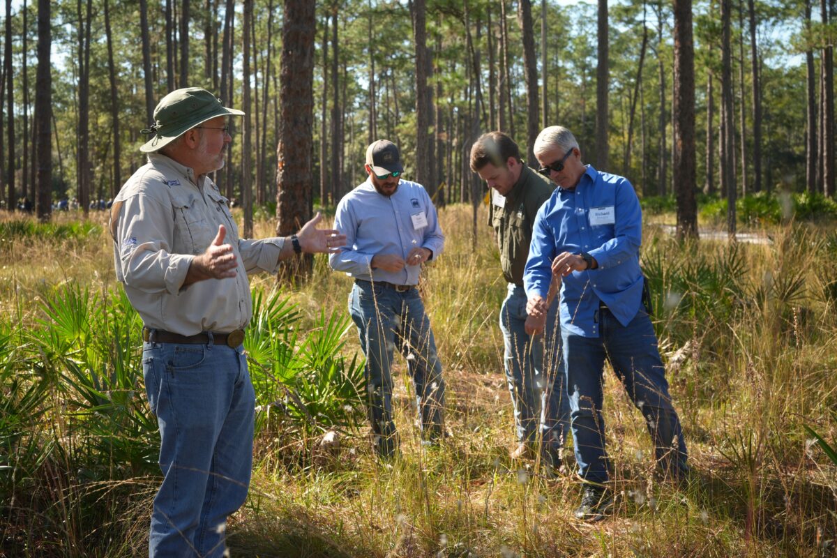 Partners participating in field training for seed collection. 