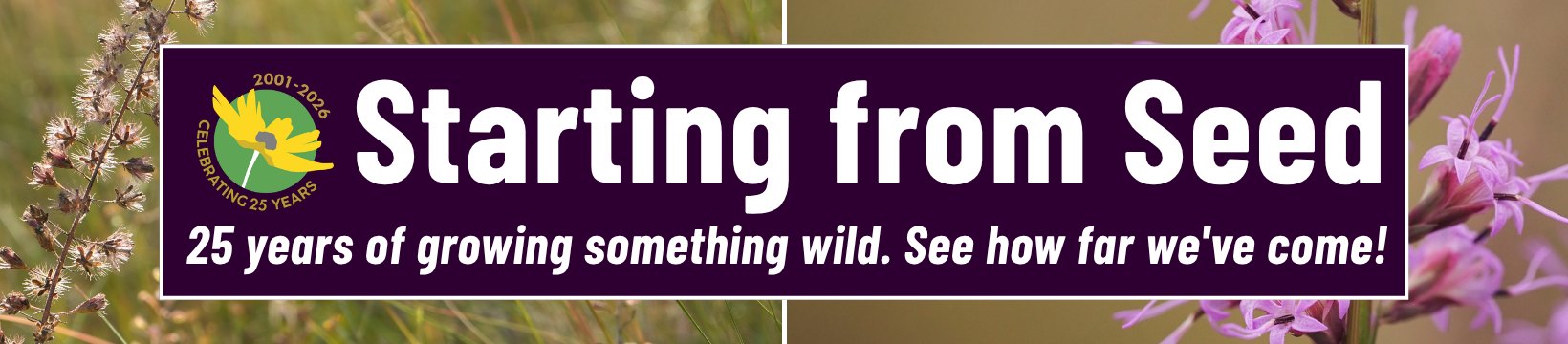 Banner with text Starting from Seed. 25 years of growing something wild. See how far weve come! and an emblem reading 25 Years 2001-2026 over a background of wildflowers.