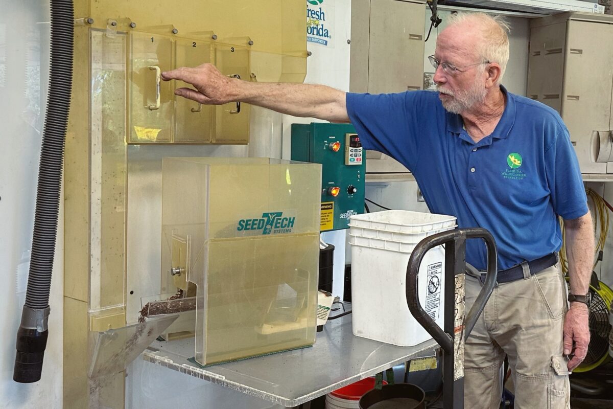 Terry Zinn operating seed sorting equipment. 