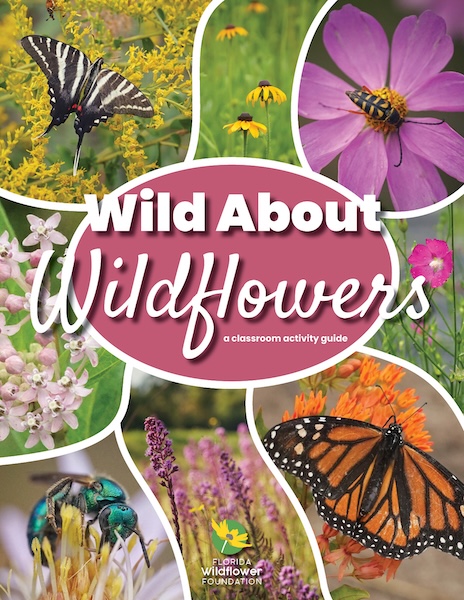 Collage of wildflowers and pollinators with text: Wild About Wildflowers: a classroom activity guide by the Florida Wildflower Foundation.