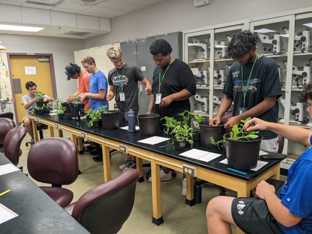 Seven students examine and work with potted plants on a long lab table in a classroom equipped with microscopes and lab chairs.