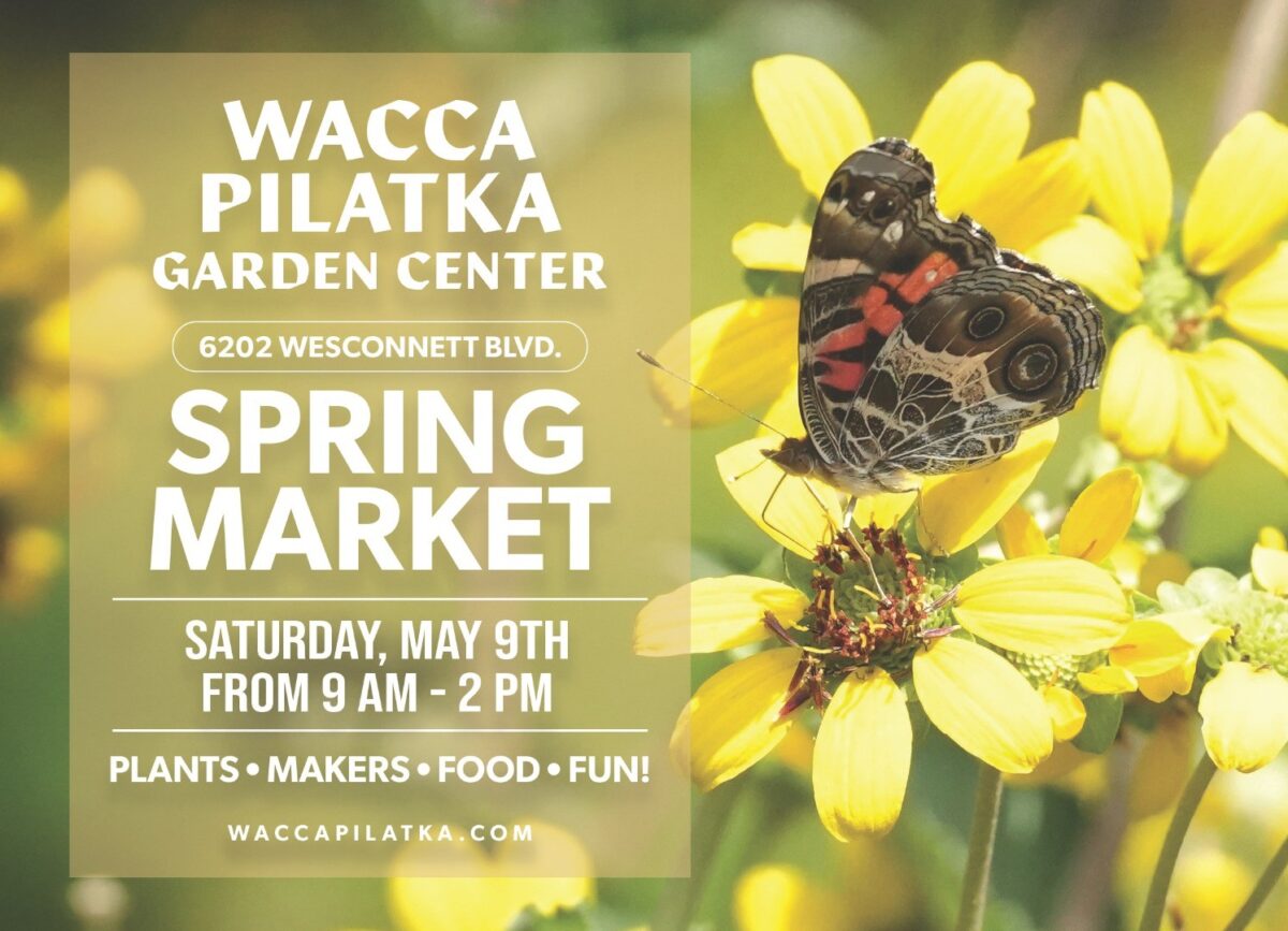 A butterfly perched on yellow flowers with text advertising Wacca Pilatka Garden Centers Spring Market on Saturday, May 9th, from 9 AM to 2 PM.